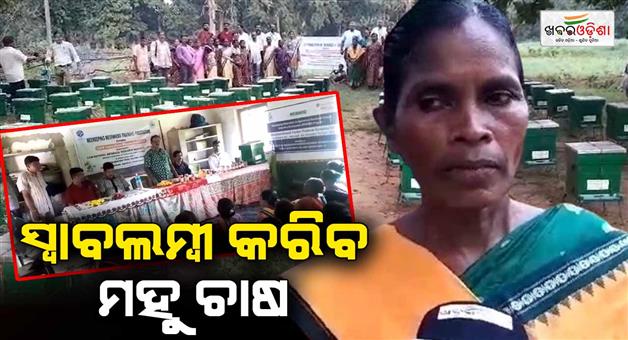 Khabar Odisha:Special-training-for-beekeeping-Women-will-be-independent