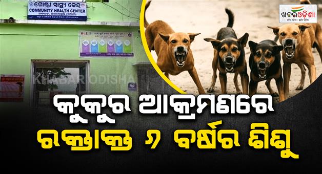 Khabar Odisha:Stray-Dog-Pack-Mauls-6-Year-Old-Girl-Near-School-in-Ganjam