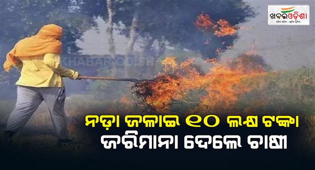 Khabar Odisha:Strict-action-against-stubble-burning-in-Haryana-100-firs-360-challans-and-25-officers-suspended