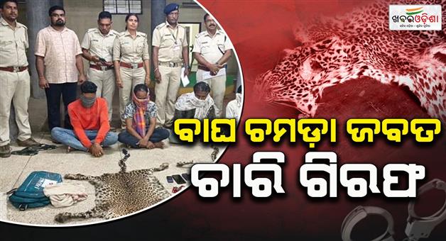 Khabar Odisha:Striped-tiger-skin-seized-Four-arrested