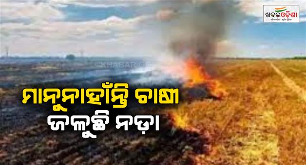 Khabar Odisha:Stubble-burning-are-not-stopping-in-Punjab-total-2466-cases