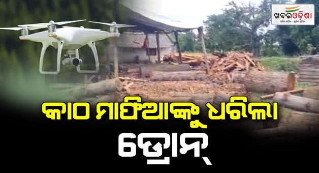 Khabar Odisha:Success-for-Forestry-Department-Drones-nab-timber-mafia