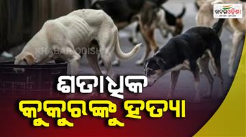 Khabar Odisha:Telangana-100-stray-dogs-killed-with-poison-sarpanch-arrested