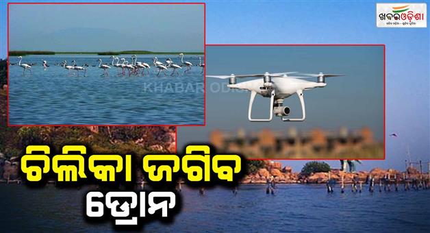 Khabar Odisha:The-Forest-department-of-Odisha-uses-drones-to-monitor-migratory-birds-and-poachers-in-Chilika-Lake