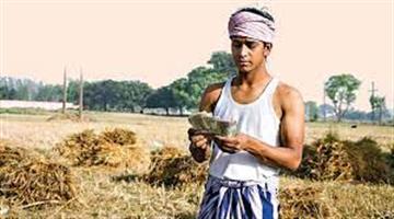 Khabar Odisha:The-amount-of-Kalia-money-will-be-credited-to-the-farmers-account-on-Utkal-Day
