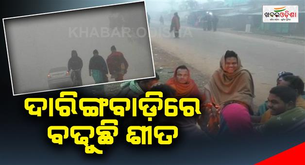 Khabar Odisha:The-amount-of-cold-is-increasing-in-Daringbadi