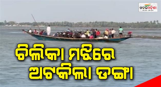 Khabar Odisha:The-boat-stopped-in-Chilika