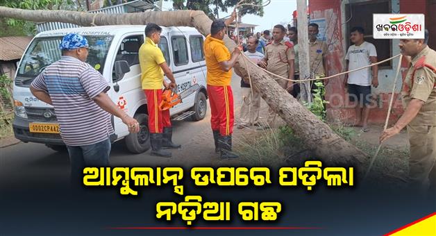 Khabar Odisha:The-coconut-roots-fell-on-the-ambulance