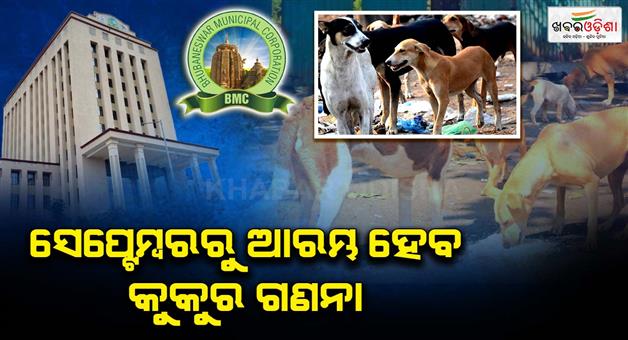Khabar Odisha:The-dog-census-will-begin-in-the-second-week-of-September-and-will-be-completed-within-10-days