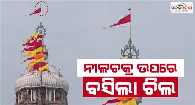 Khabar Odisha:The-eagle-has-settled-on-the-top-of-nilachakra