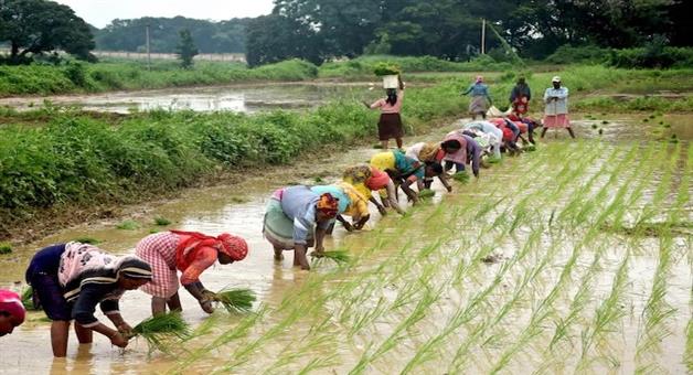 Khabar Odisha:The-fifth-installment-of-the-CM-Kisan-Yojana-will-be-released-tomorrow