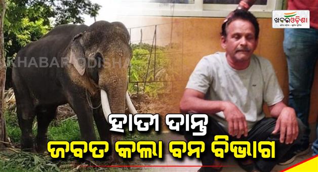 Khabar Odisha:The-forest-department-seized-the-ivory