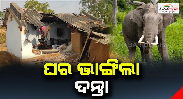 Khabar Odisha:The-house-broken-for-the-elephant-attack
