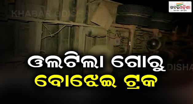 Khabar Odisha:The-truck-loaded-with-cattle-overturned-and-4-people-lost-their-lives