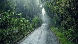 Khabar Odisha:The-weather-is-favorable-the-monsoon-will-arrive-soon