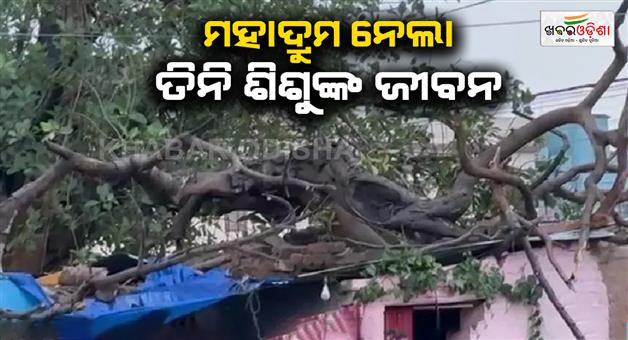 Khabar Odisha:Three-children-died-when-a-tree-fell-on-a-house-during-a-storm-in-South-Delhi