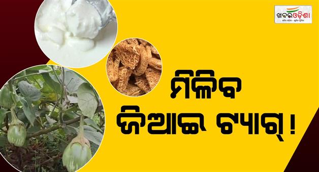 Khabar Odisha:Three-major-products-from-Odisha-to-receive-GI-tags-Process-for-granting-the-tag-status-has-begun