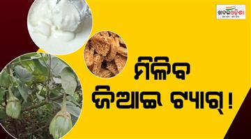 Khabar Odisha:Three-major-products-from-Odisha-to-receive-GI-tags-Process-for-granting-the-tag-status-has-begun