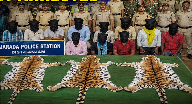 Khabar Odisha:Tiger-Skin-Smuggling-Racket-Busted-in-Odisha-11-Arrested