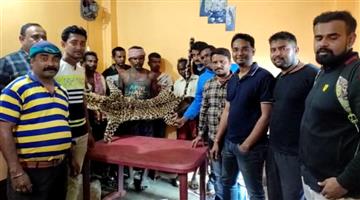 Khabar Odisha:Tiger-skin-seized-in-similipal-8-arrested