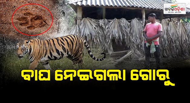 Khabar Odisha:Calm-prevails-in-Malkangiri-Internet-cut-off-till-12-noon