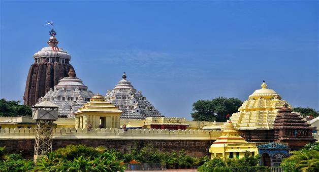 Khabar Odisha:Today-in-the-temple-Harishayan-Niti