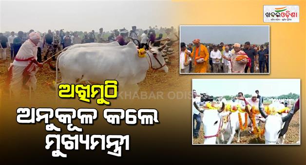 Khabar Odisha:Today-is-Akshay-Trutiya--Chief-Minister-made-Akhi-Muthi-auspicious