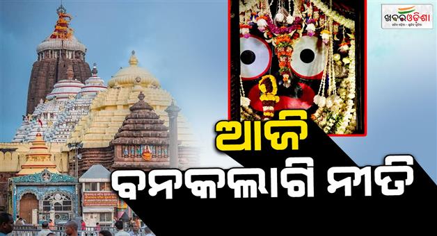 Khabar Odisha:Today-is-Banakalagi-Ritual