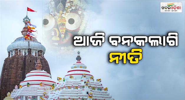 Khabar Odisha:Today-is-Banakalagi-Ritual