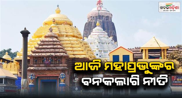 Khabar Odisha:Today-is-Banakalagi-Ritual