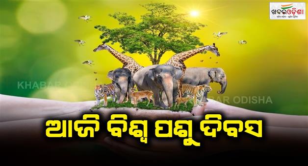 Khabar Odisha:Today-is-World-Animal-Day