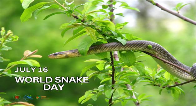 Khabar Odisha:Today-is-World-Snake-Day-This-day-is-celebrated-for-the-protection-of-snakes