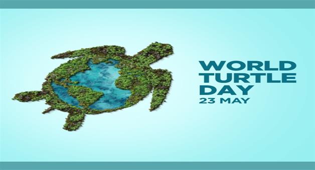 Khabar Odisha:Today-is-World-Turtle-Day-protecting-turtles-is-our-goal