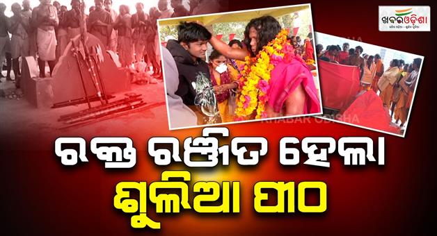 Khabar Odisha:Today-sulia-yatra