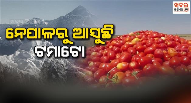 Khabar Odisha:Tomatoes-will-be-imported-from-Nepal
