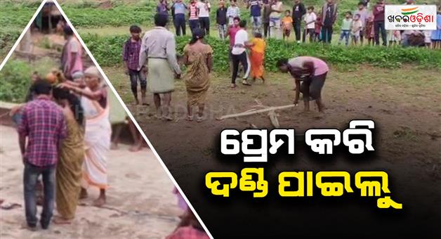 Khabar Odisha:Torture-for-love-Villagers-tied-to-a-plow-and-made-to-wander-like-a-plow