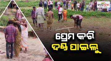 Khabar Odisha:Torture-for-love-Villagers-tied-to-a-plow-and-made-to-wander-like-a-plow