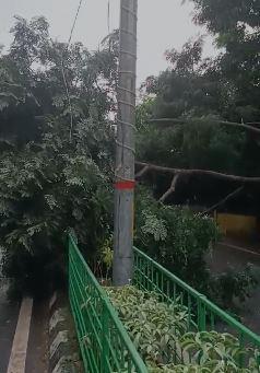 Khabar Odisha:Traffic-disrupted-due-to-fallen-trees-near-Visut-ATM