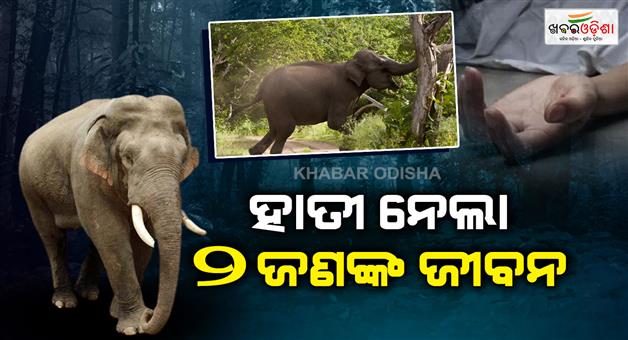 Khabar Odisha:Two-Killed-in-Separate-Elephant-Attacks-in-Odishas-Angul