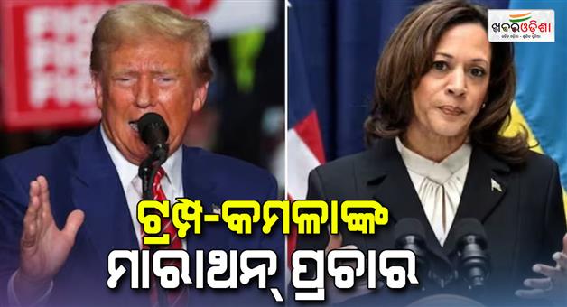 Khabar Odisha:US-presidential-election-2024-as-Kamala-Harris-Vs-Donald-Trump-swing-states