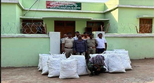 Khabar Odisha:Unemployment-department-seized-240-kg-of-cannabis