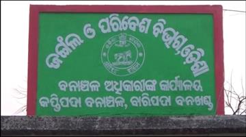 Khabar Odisha:Unsafe-elephants-in-the-state-again-The-dead-body-of-a-baby-elephant-was-recovered-from-the-forest-the-reason-is-unclear