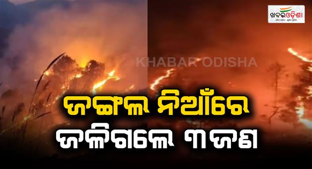 Khabar Odisha:Uttarakhand-forest-fire-Chamoli-wildfire-alert-jungle-fire
