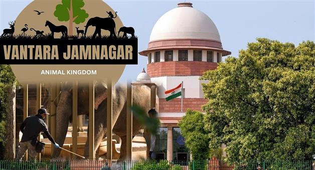 Khabar Odisha:Vantara-will-cooperate-in-the-SIT-investigation-issued-a-statement-after-the-Supreme-Court-order