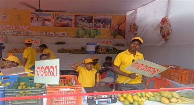 Khabar Odisha:Village-mango-market-opens-in-Bargarh-Customers-happy-to-get-different-varieties-of-mangoes