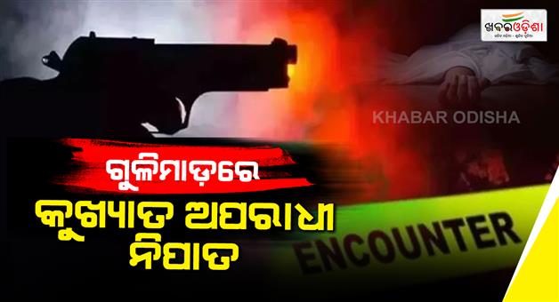 Khabar Odisha:Wanted-criminal-with-Rs-1-lakh-bounty-shot-dead-in-encounter-Meerut-crime