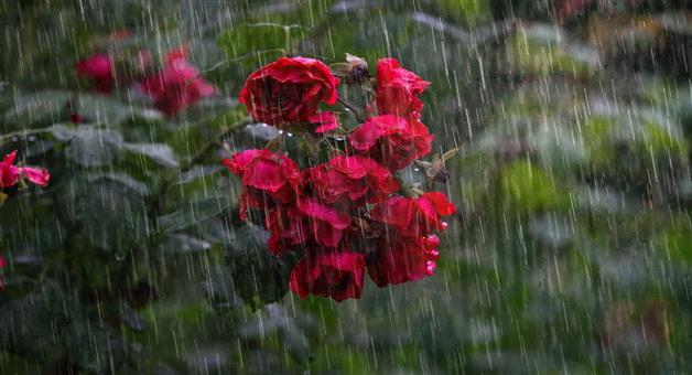 Khabar Odisha:Weather-in-Odisha