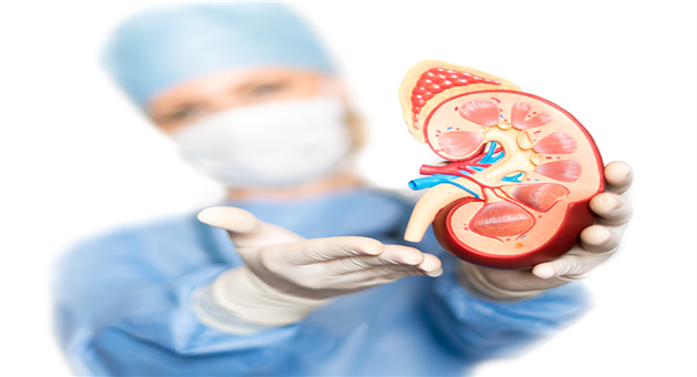 Khabar Odisha:What-are-the-early-symptoms-of-kidney-failure-Symptoms-that-can-be-costly-if-ignored