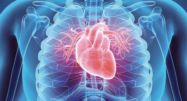 Khabar Odisha:What-is-a-heart-attack-What-changes-in-lifestyle-can-result-from-it