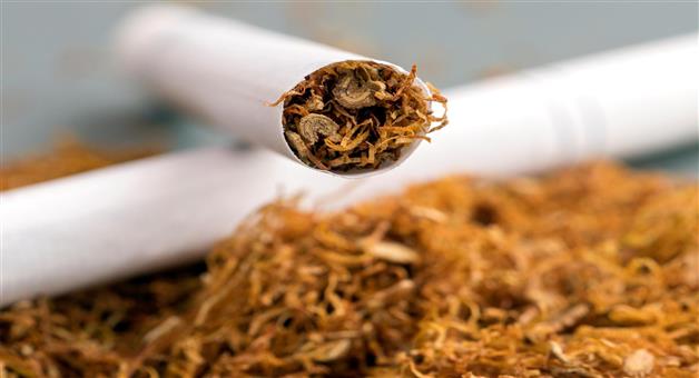 Khabar Odisha:What-is-nicotine-and-how-does-it-harm-health